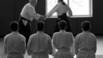 entrenamiento mental compasivo basado en artes marciales para mejorar las competencias compasivas de los terapeutas CFT