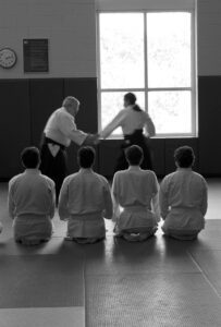 entrenamiento mental compasivo basado en artes marciales para mejorar las competencias compasivas de los terapeutas CFT